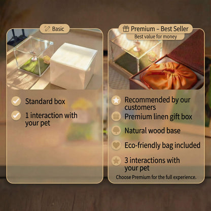 HoloPaw™ – A Personalized Holographic Memory