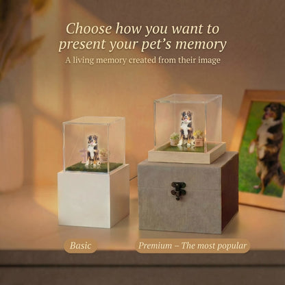 HoloPaw™ – A Personalized Holographic Memory